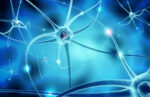 Neurology MCQs
